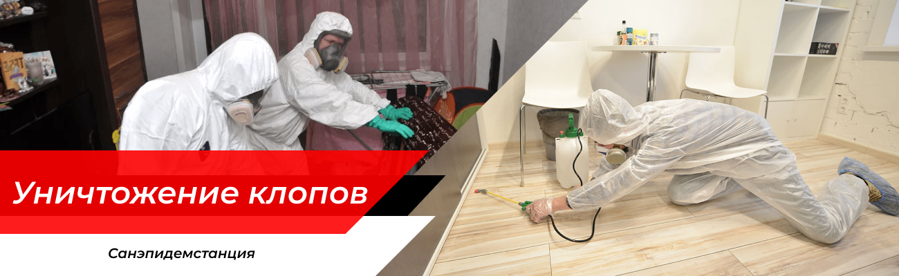 Уничтожение клопов Вязьма
