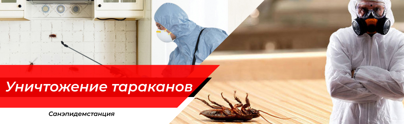 Уничтожение тараканов Вязьма